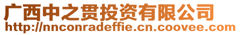 廣西中之貫投資有限公司