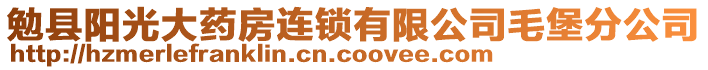 勉縣陽光大藥房連鎖有限公司毛堡分公司