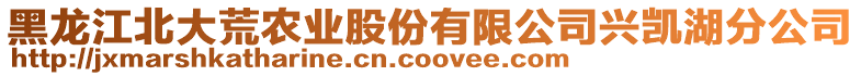 黑龍江北大荒農(nóng)業(yè)股份有限公司興凱湖分公司
