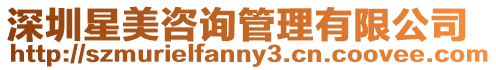 深圳星美咨詢管理有限公司