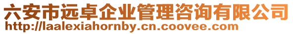 六安市遠(yuǎn)卓企業(yè)管理咨詢(xún)有限公司