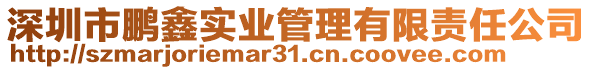 深圳市鵬鑫實業(yè)管理有限責任公司