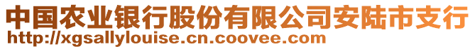 中國農(nóng)業(yè)銀行股份有限公司安陸市支行