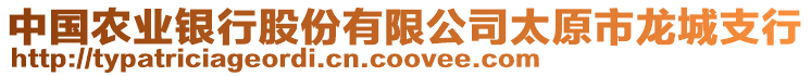 中國農(nóng)業(yè)銀行股份有限公司太原市龍城支行