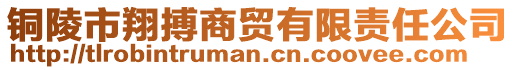 銅陵市翔搏商貿(mào)有限責(zé)任公司