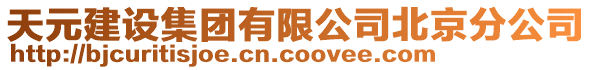 天元建設集團有限公司北京分公司