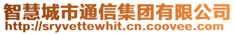 智慧城市通信集團有限公司