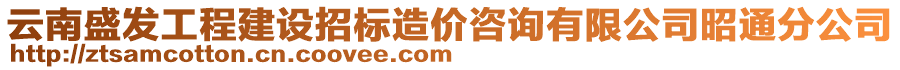 云南盛發(fā)工程建設(shè)招標(biāo)造價咨詢有限公司昭通分公司