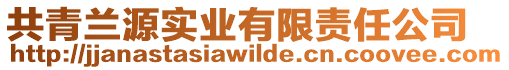 共青蘭源實(shí)業(yè)有限責(zé)任公司