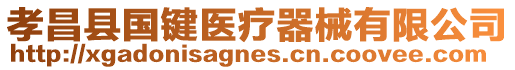孝昌縣國鍵醫(yī)療器械有限公司