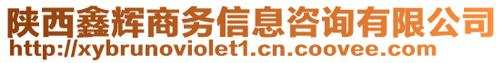 陜西鑫輝商務信息咨詢有限公司