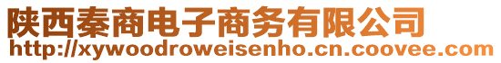 陜西秦商電子商務(wù)有限公司