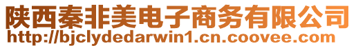 陜西秦非美電子商務有限公司