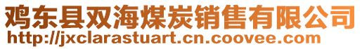 雞東縣雙海煤炭銷售有限公司