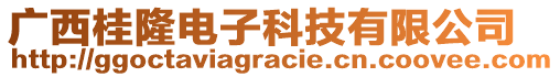 廣西桂隆電子科技有限公司