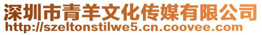 深圳市青羊文化傳媒有限公司