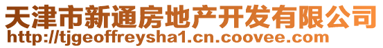 天津市新通房地產(chǎn)開發(fā)有限公司