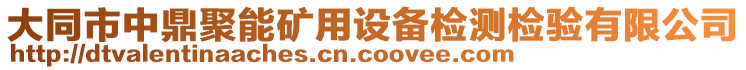 大同市中鼎聚能礦用設(shè)備檢測檢驗有限公司