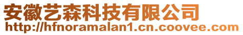 安徽藝森科技有限公司