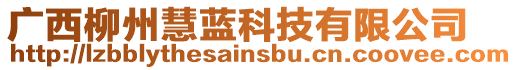 廣西柳州慧藍(lán)科技有限公司