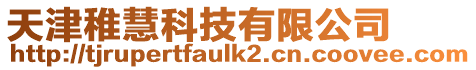 天津稚慧科技有限公司