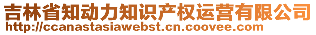 吉林省知動力知識產(chǎn)權(quán)運(yùn)營有限公司