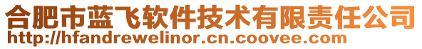 合肥市藍(lán)飛軟件技術(shù)有限責(zé)任公司