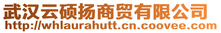 武漢云碩揚商貿有限公司