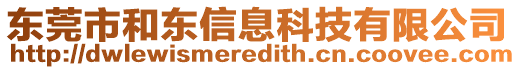 東莞市和東信息科技有限公司