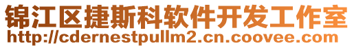 錦江區(qū)捷斯科軟件開發(fā)工作室