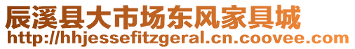 辰溪縣大市場(chǎng)東風(fēng)家具城