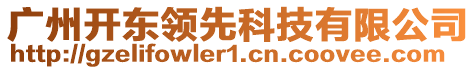 廣州開(kāi)東領(lǐng)先科技有限公司