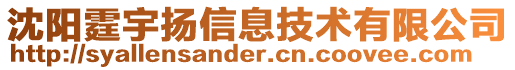 沈陽霆宇揚信息技術有限公司
