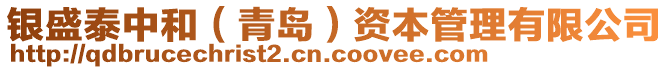 銀盛泰中和(青島)資本管理有限公司