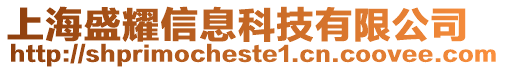 上海盛耀信息科技有限公司