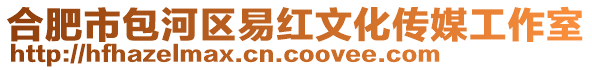 合肥市包河區易紅文化傳媒工作室