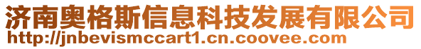 濟南奧格斯信息科技發展有限公司