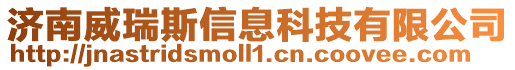 濟南威瑞斯信息科技有限公司