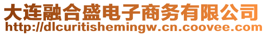 大連融合盛電子商務(wù)有限公司