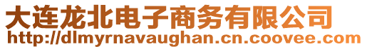 大連龍北電子商務(wù)有限公司