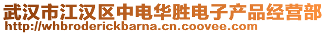 武漢市江漢區(qū)中電華勝電子產(chǎn)品經(jīng)營(yíng)部