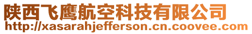 陜西飛鷹航空科技有限公司