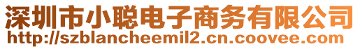 深圳市小聰電子商務有限公司