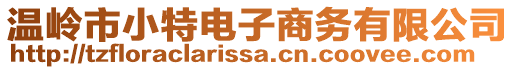 溫嶺市小特電子商務(wù)有限公司