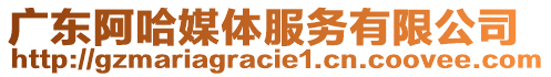 廣東阿哈媒體服務(wù)有限公司