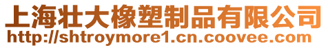 上海壯大橡塑制品有限公司