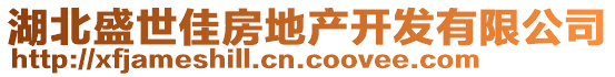 湖北盛世佳房地產(chǎn)開(kāi)發(fā)有限公司
