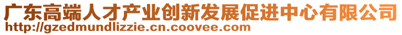 廣東高端人才產(chǎn)業(yè)創(chuàng)新發(fā)展促進(jìn)中心有限公司