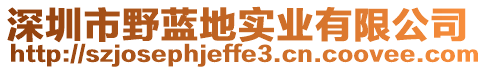 深圳市野藍(lán)地實業(yè)有限公司