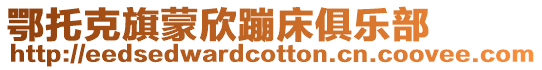 鄂托克旗蒙欣蹦床俱樂部